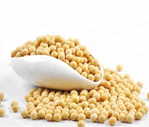 Soy Beans (Soya beans)